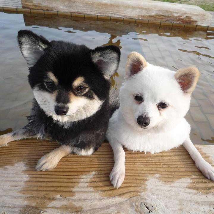 D38f6fad 8e66 4a68 a186 9c880cca0d9a 1549676467602