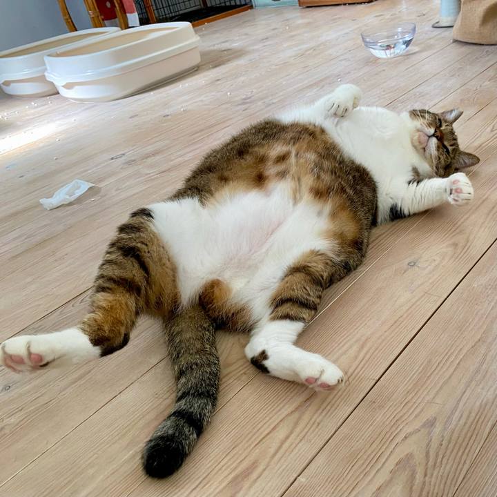 D38f8f61 25ec 4b43 aea0 fad9a062a26d 1760335921149