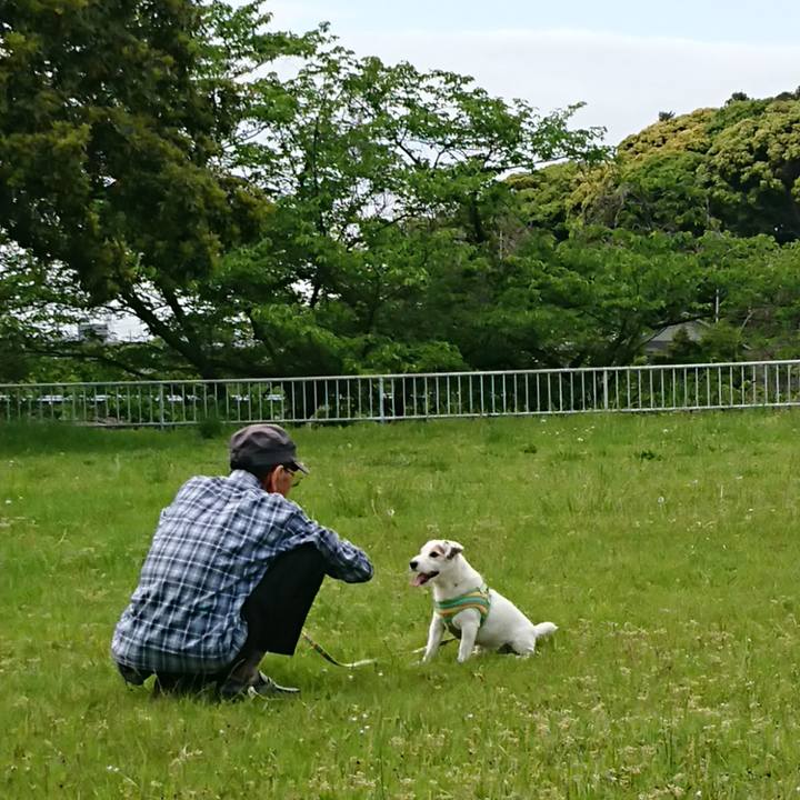 D38ff378 055b 4459 aa97 6df815a1559e 1557186063312