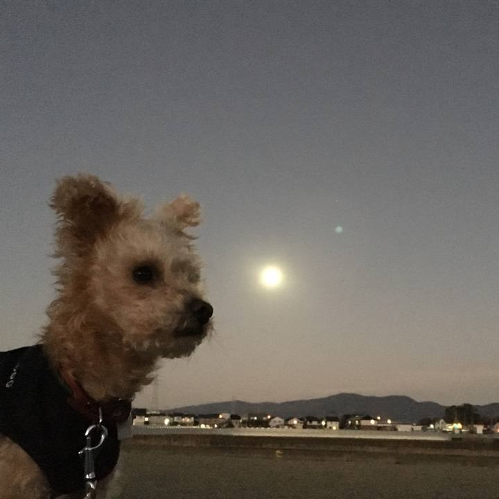 D38ffc62 e83b 4f19 a938 571c57403f90 1576187585623