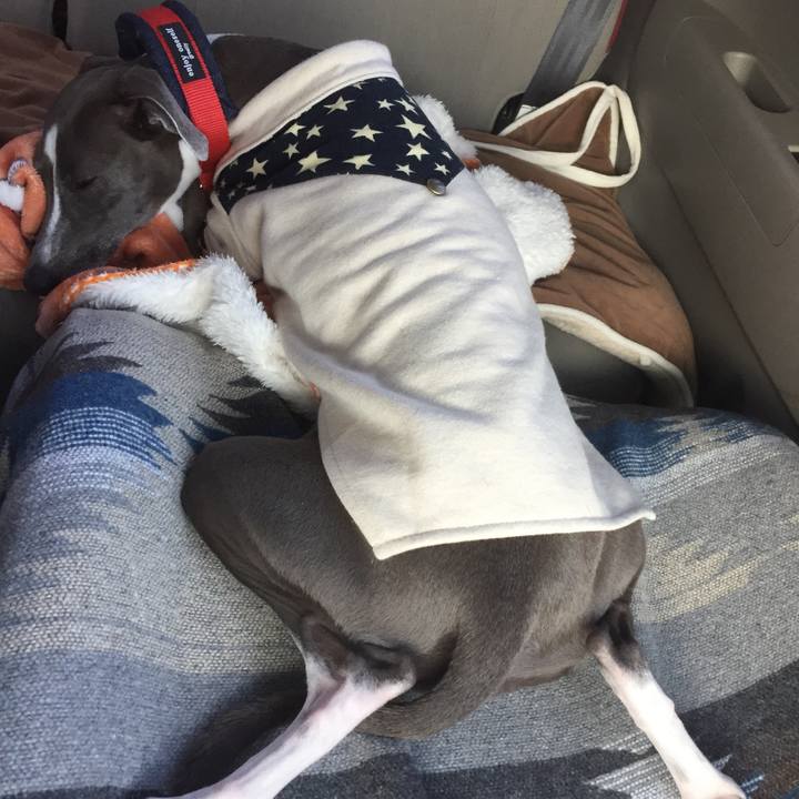 D39001f3 0e36 4890 9ba4 7a975ba1f99a 1509237738743