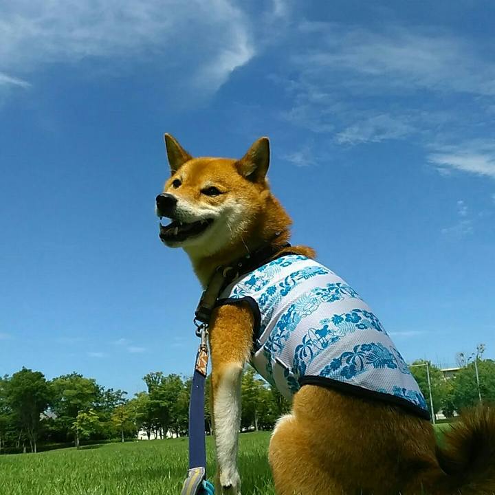 D39019e6 5cec 4a49 ad5c 64b68a3cb1dc 1564192212038