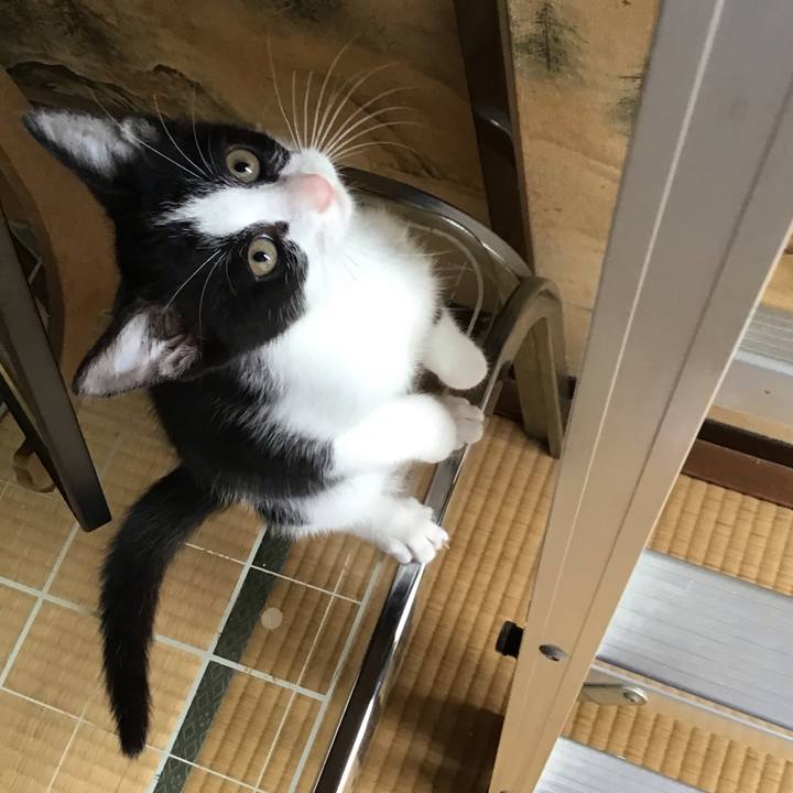 D3902b53 e7d9 45c1 a089 ccf28d51112a 1625367214636