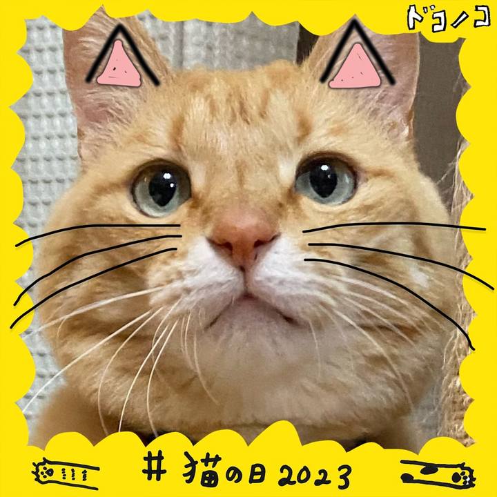 D3903630 6ccf 4241 9f96 c88ab77da683 1677019231199