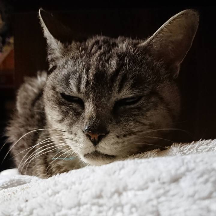 D39072db 8590 43a2 9726 5cdccf1dabee 1561816954973