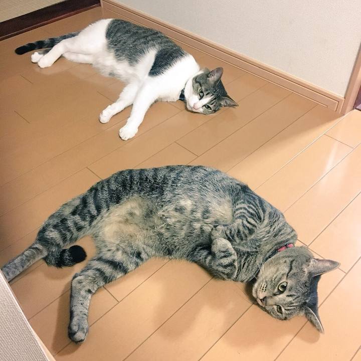 D3907a66 d61d 4810 b1c7 7f392af30225 1533427938810