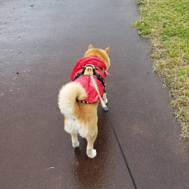 D390a19e 35e4 4cc6 9c1e f52179a54d1c 1715580390370