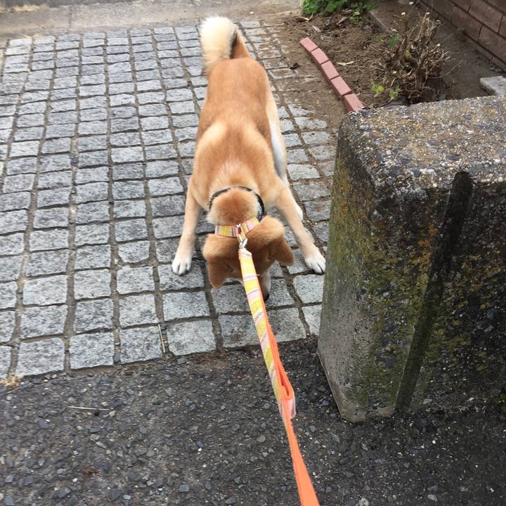 D390e448 9796 49cb 9872 8bc180b43abb 1510559571402