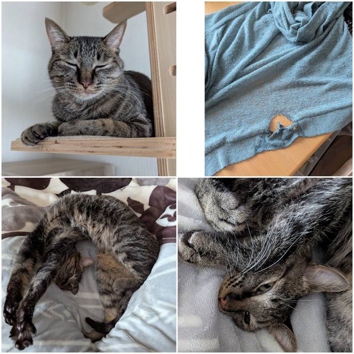 D390f238 1d75 4431 9f5c c30a90491fe7 1741692038149