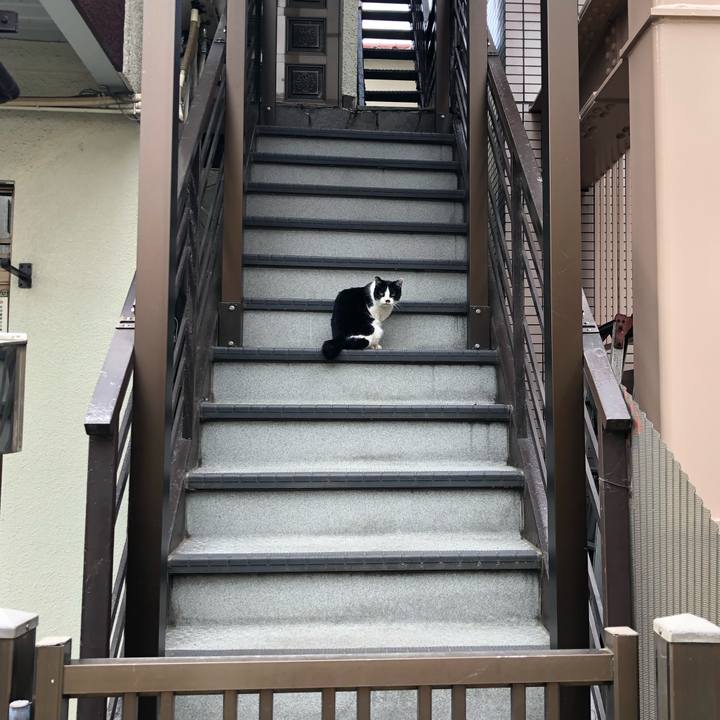 D39125b8 9837 448f 8178 44c78379e0b9 1550680383011