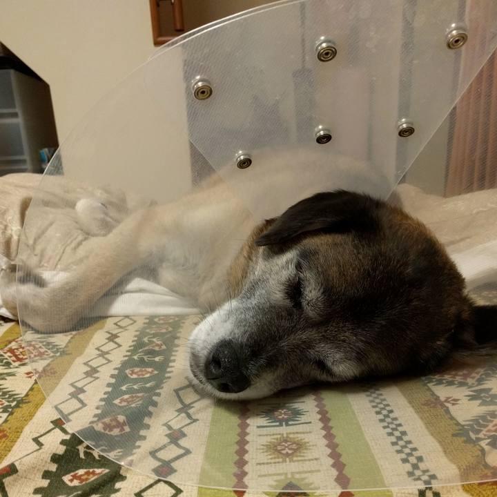 D3912c35 73b1 43b1 a5fd 48a203fc9397 1517707923739