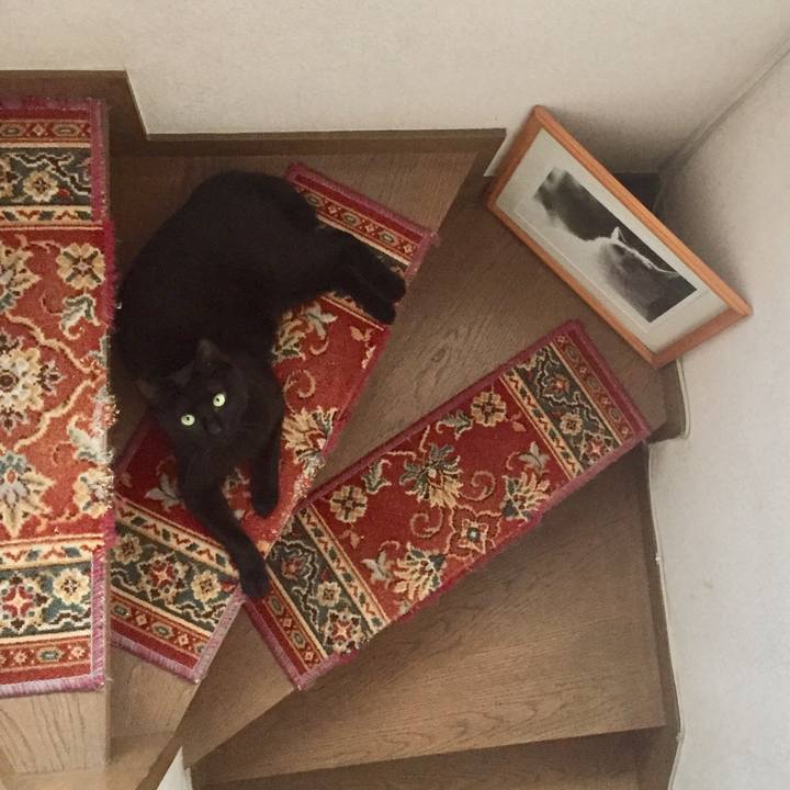 D391701d fe6b 4250 931f b3e5c65a2230 1588063448852