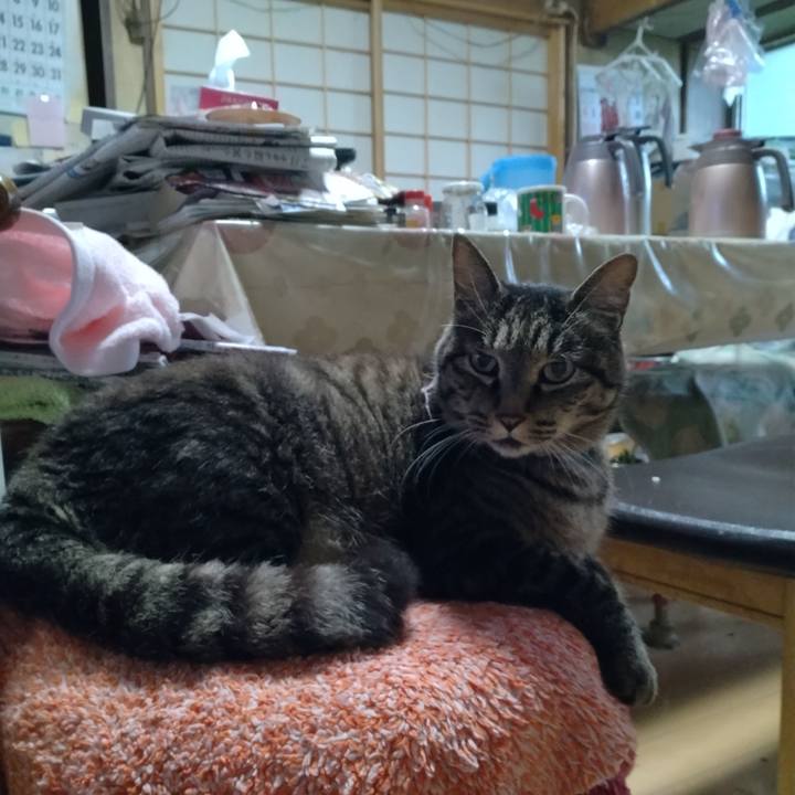 D391b14d b820 4428 ad2e e9eb86dd2e9a 1723241387210