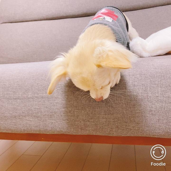 D3920b2c c409 4436 8980 31b12c3b1d60 1606480948570