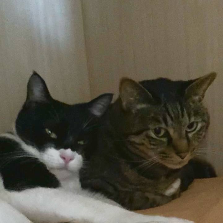 D39228e0 684e 4d02 ae2c 7c206298d802 1674381007388