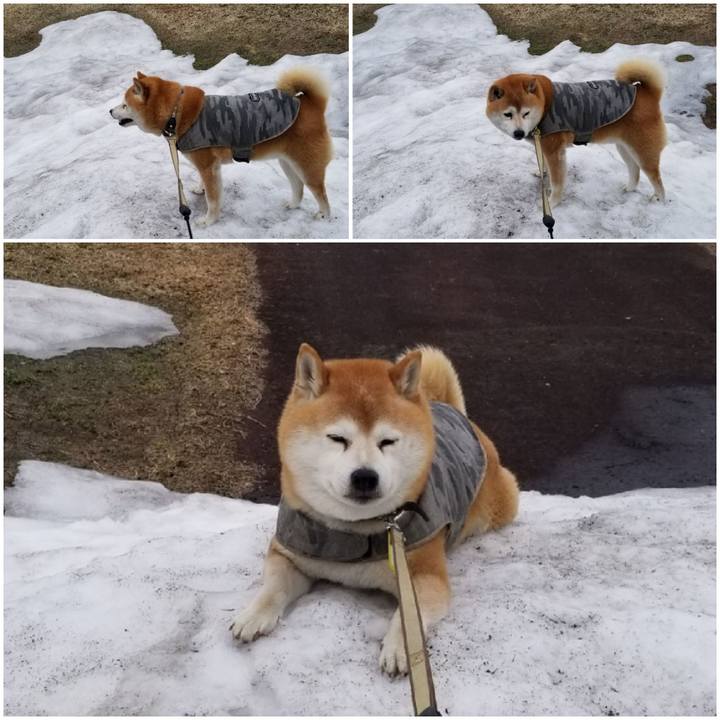 D3924cf7 be0e 4efc bf2d 3faefe54ec3e 1650253231712