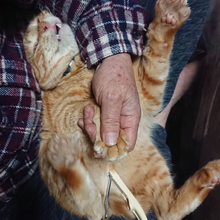 D39255bd 3c56 41c6 ab34 bf6ebac1b4f0 1643456073251