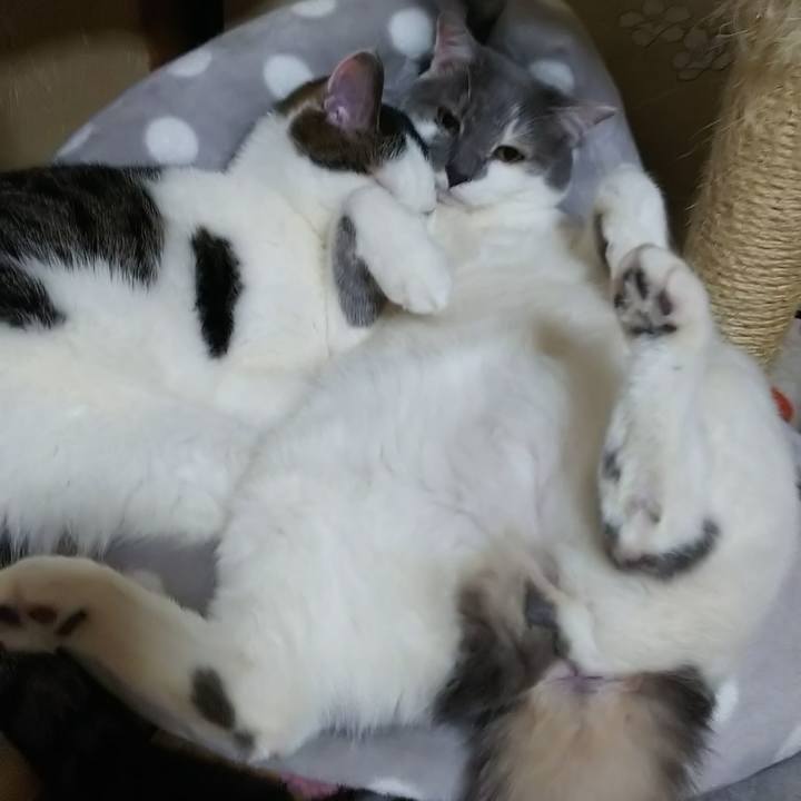 D3928c6d 0f44 4f1a aae4 329c1803e2f5 1553406655495