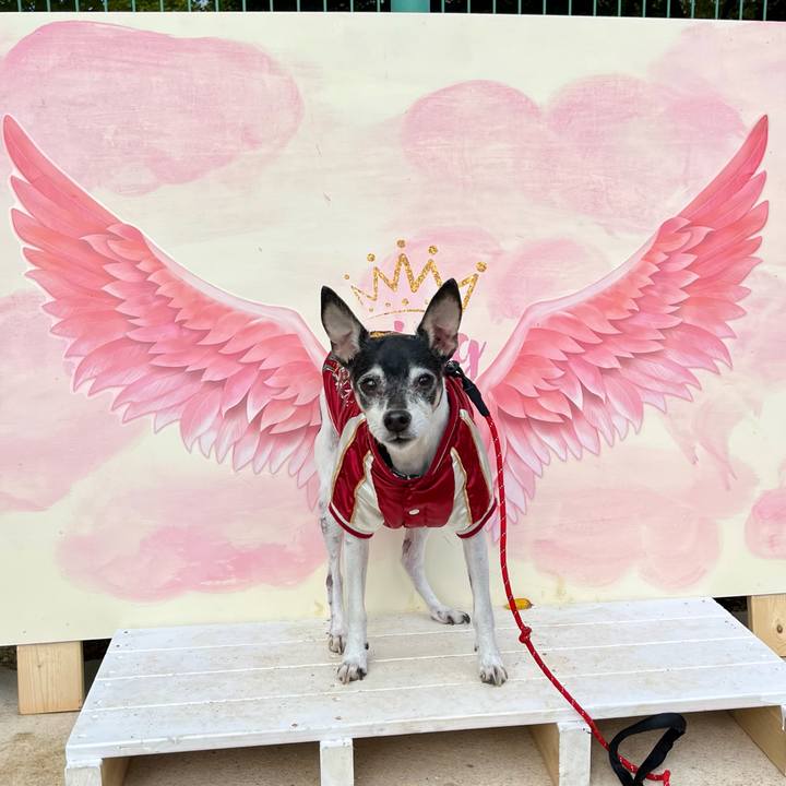 D3928cd5 acc6 46c9 a13f e2151417e671 1636869277627