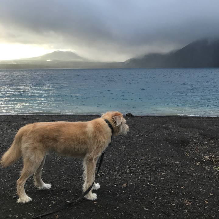 D3928da8 85f6 436a 8a85 06749eb3a540 1534380071331