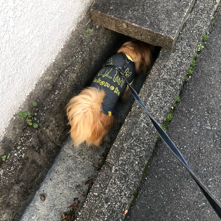 D392d35f 5432 4131 8fc9 1f987dc2effc 1552084084182