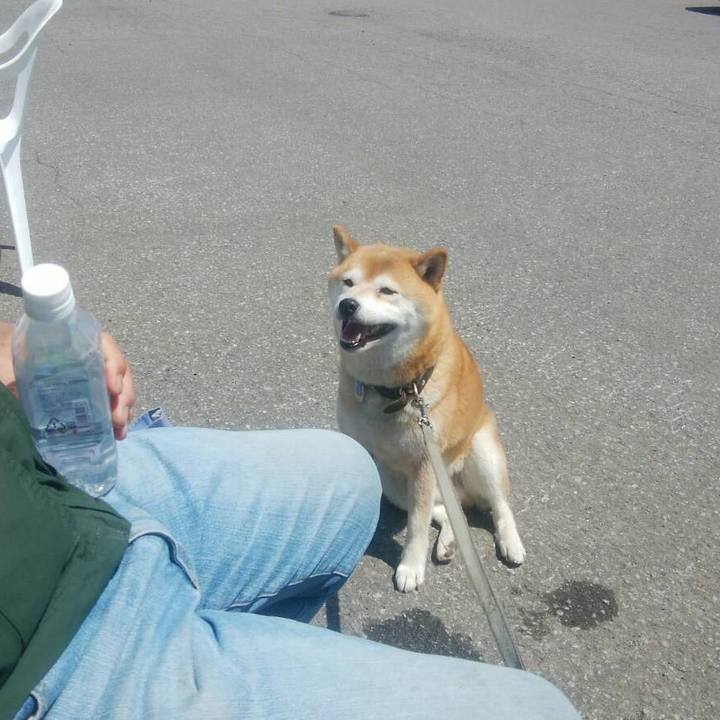 D392f461 b875 4b88 86cd 9319ea28b2e2 1526593423458