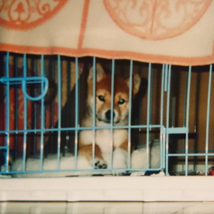 D3930657 952d 4365 9e35 09c831343496 1550320724653