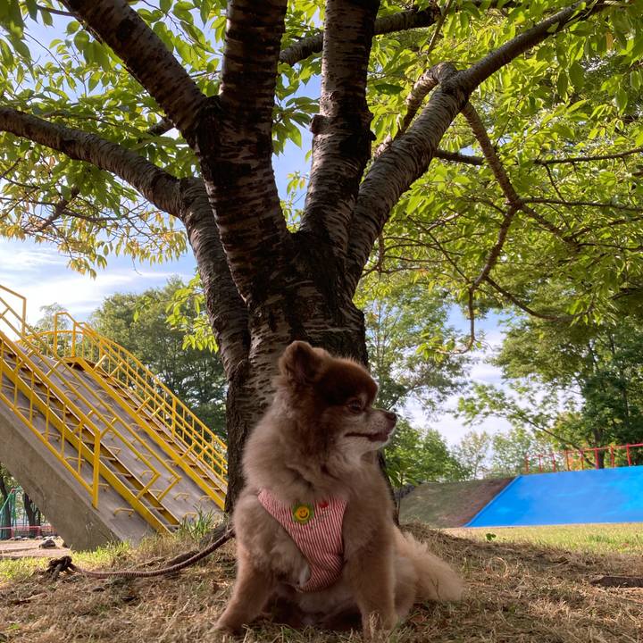 D39333c3 6406 4772 8fbb 037f392c7e54 1663392257244