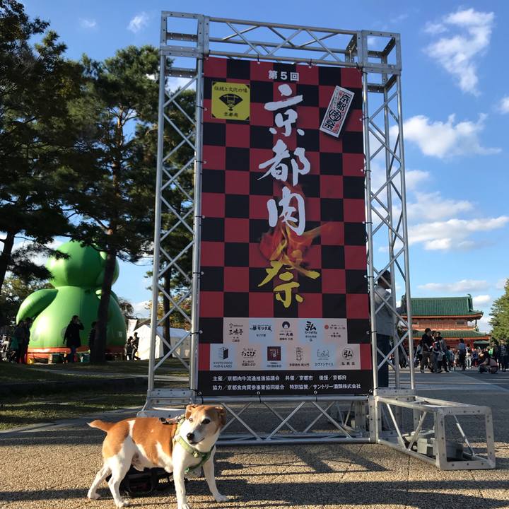 D393cf1d 8aca 4c77 8b34 60439e5477df 1540717020838