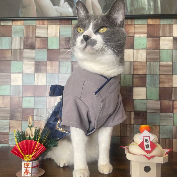 D3940c13 8786 4045 9d85 a92d196f6ac8 1735695805985