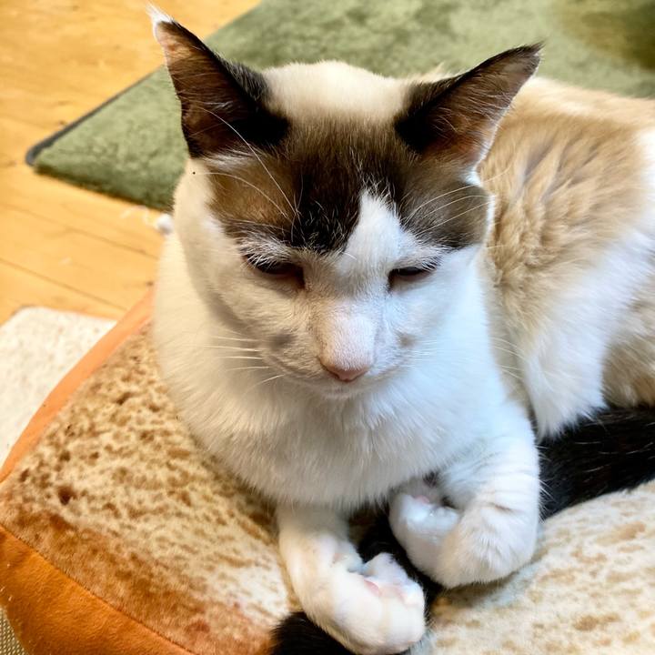 D3940e3c 3502 4224 97c7 5806698db81e 1675421280322