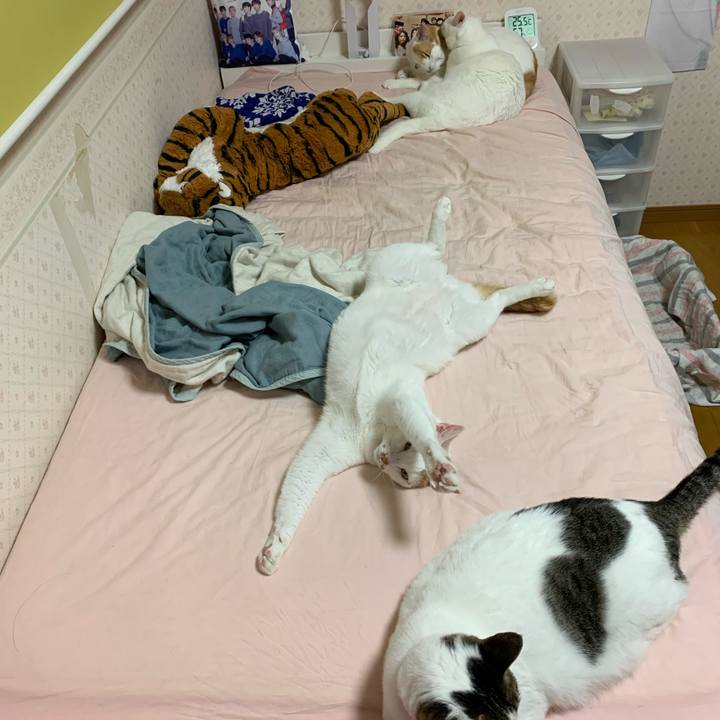 D39410a9 e5b5 4509 9e3d 1c2f2072b6eb 1589816672622