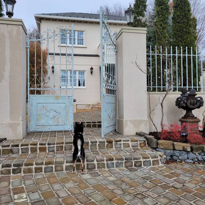 D3945646 3937 448f 88a3 a2f3d1a55839 1765687845228