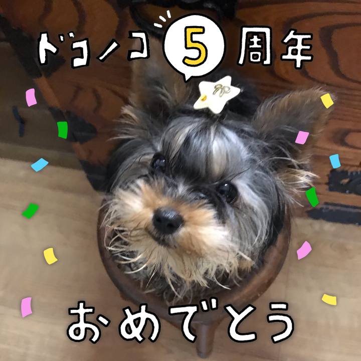 D3946cff fa3c 4da7 95ea 34880e48da8b 1622938377706