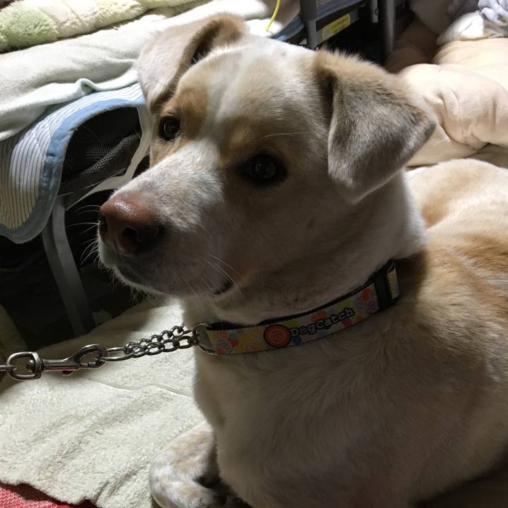 D394760c fdb3 4e0a 87fa 65a6f984a888 1516876955880