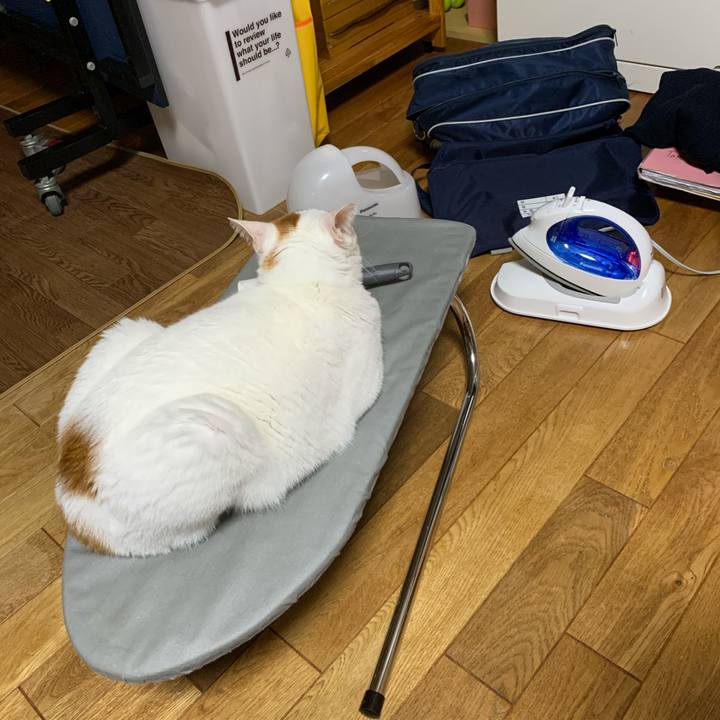 D3949c7d a41e 4e43 9d91 f68d2c4d69e4 1605793868372