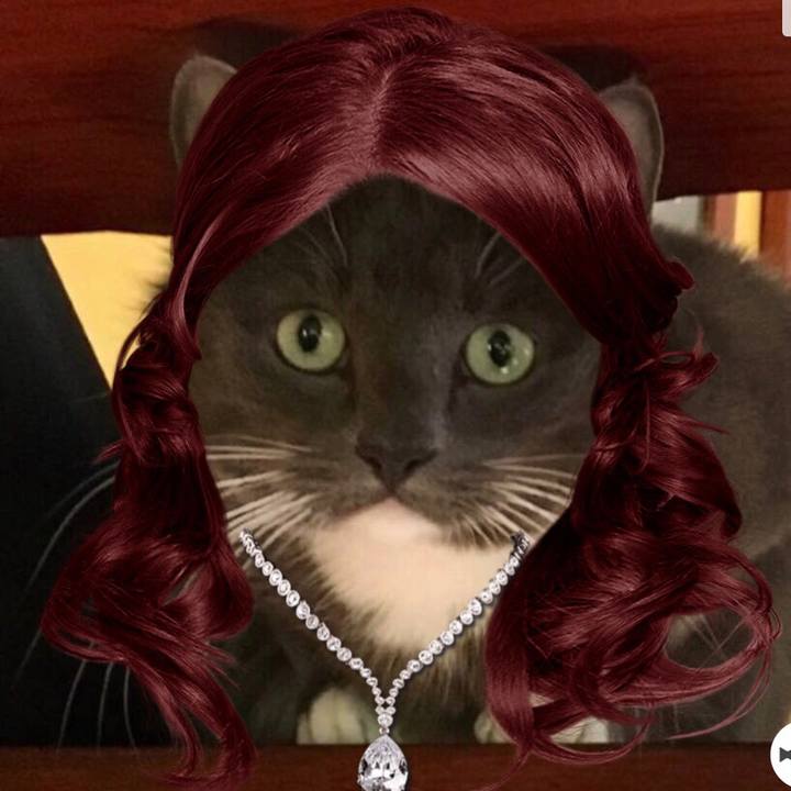 D394b6b3 950e 4ef1 90e6 89c44608d12b 1530937014028