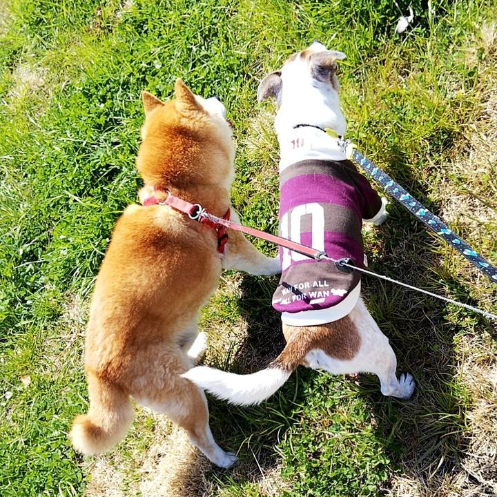 D394b70b 1018 44bf 9a16 b434caed6469 1584773056362