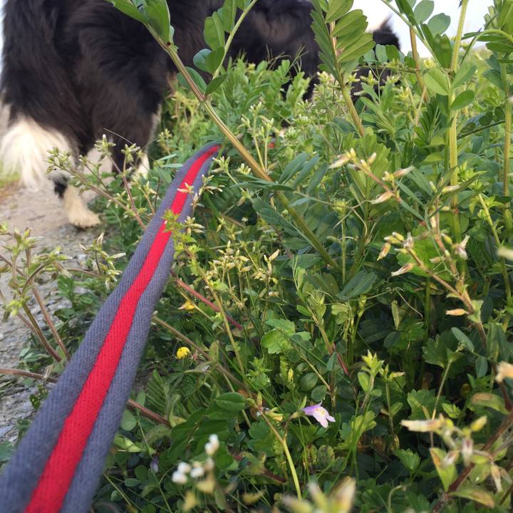 D394d4c1 4c78 4847 acbc fe16351d9e20 1553642076129