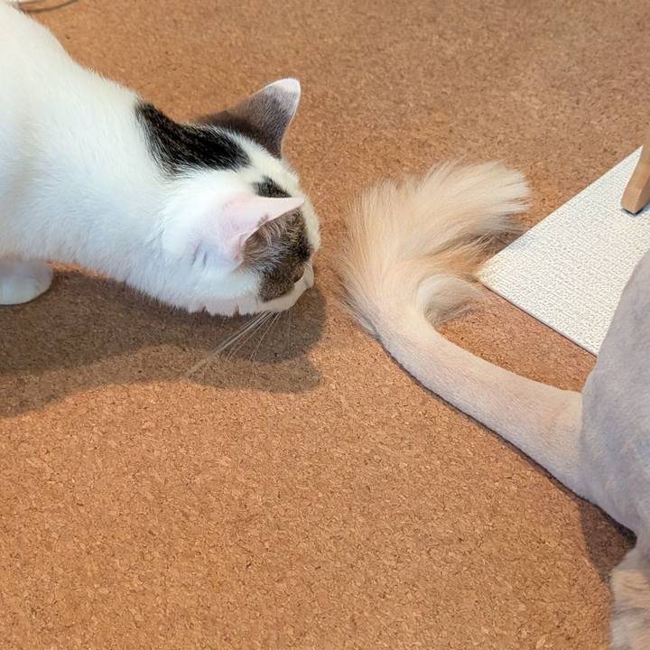 D3951ff5 aa22 4bbf a117 f765beb117fb 1752322159911