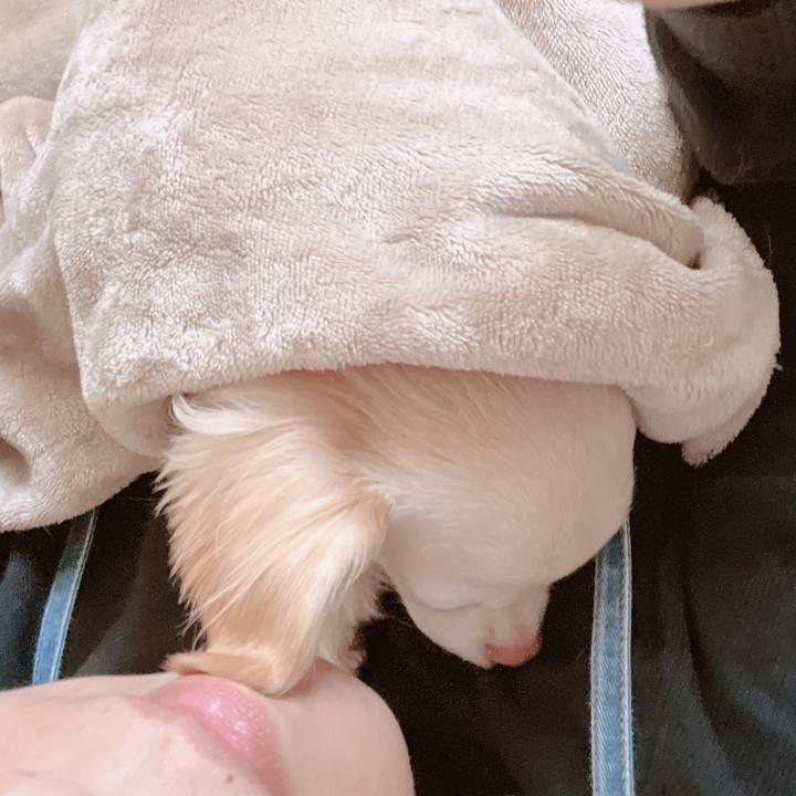 D39548f8 05b0 489c 8507 7497cc06cd7f 1666326334416