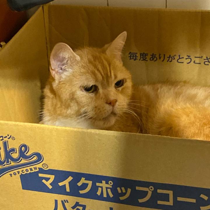 D3955bca 2f33 43a9 94d1 bba04a1e6afd 1616966834843