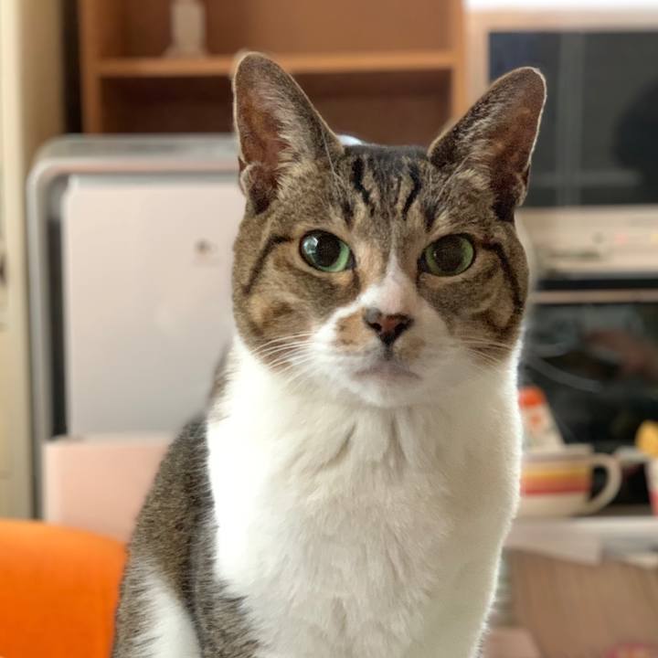 D3957d2b 891b 48ec 895a 7c64639da288 1550279944825