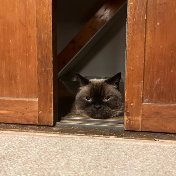 D395d31e f758 4f54 9221 ef95adb0dd19 1724678508620