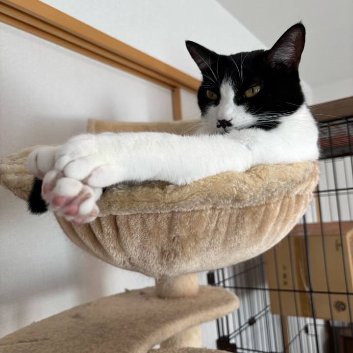 D395e7fd 070f 4dcc 8f8a c3a655504857 1769477500589