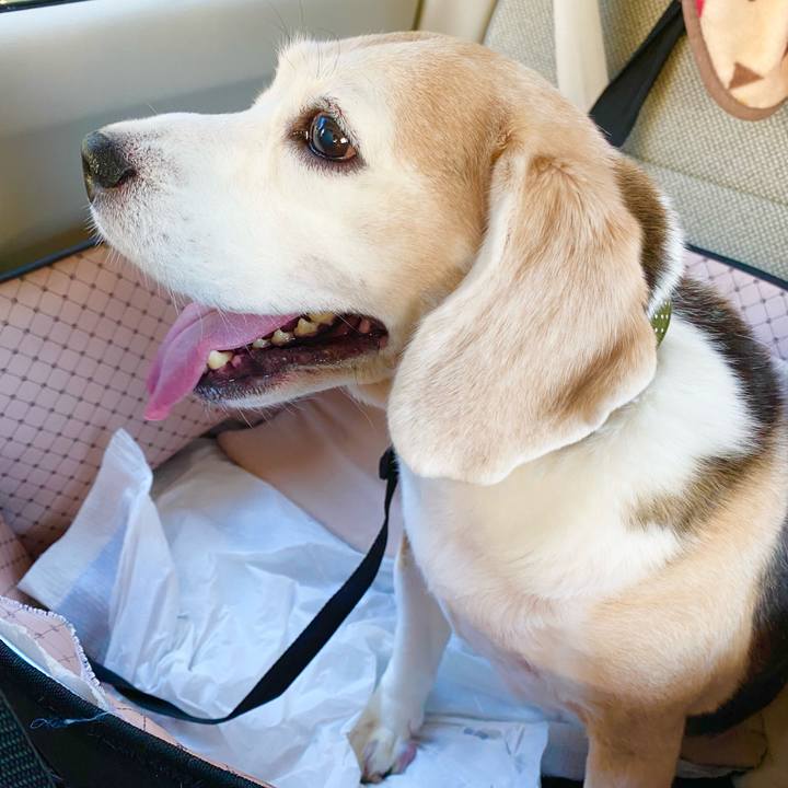 D396202d 92f0 42e1 adea 4ef7002b97ff 1635486114985