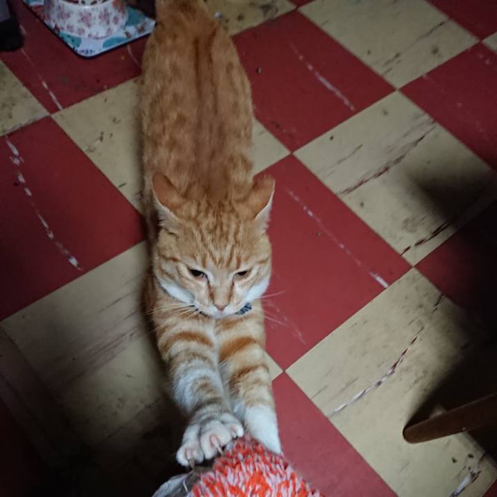 D39675e3 ad0a 477f 9b45 e1ceefa0d9d8 1563997799965