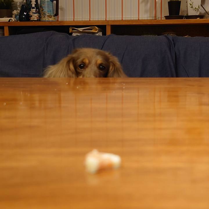 D3967b36 5850 4c76 a81e 420f4ecd200c 1689082407071