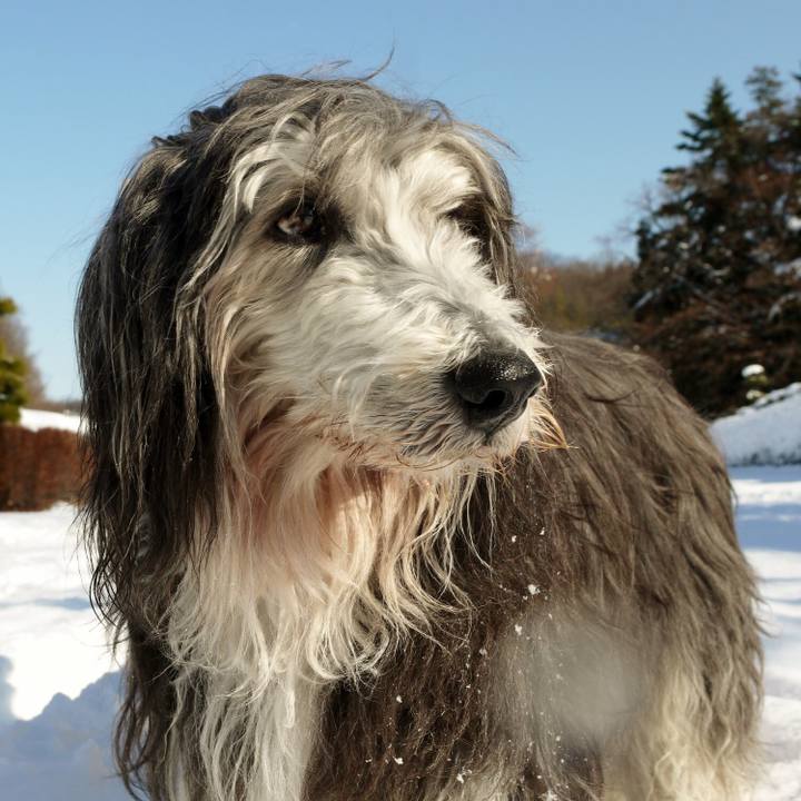 D3969d5b ce09 4168 b5bc 4fb3e3296241 1517900503393