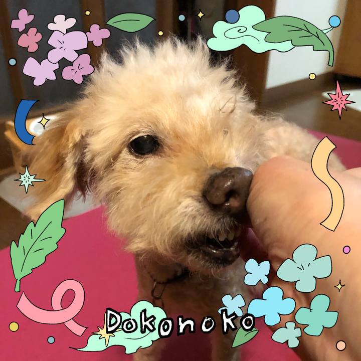 D3969f74 f81d 4bd8 b27c 2dbe28a78df0 1717763063676